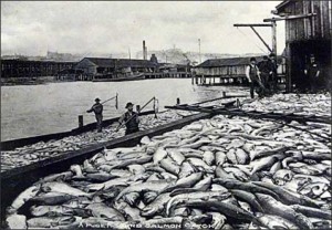 Old Seattle Seafood Photo