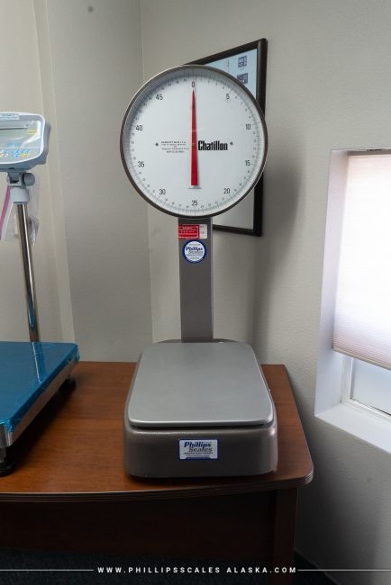 Chatillon BP15 Dial Bench Scale